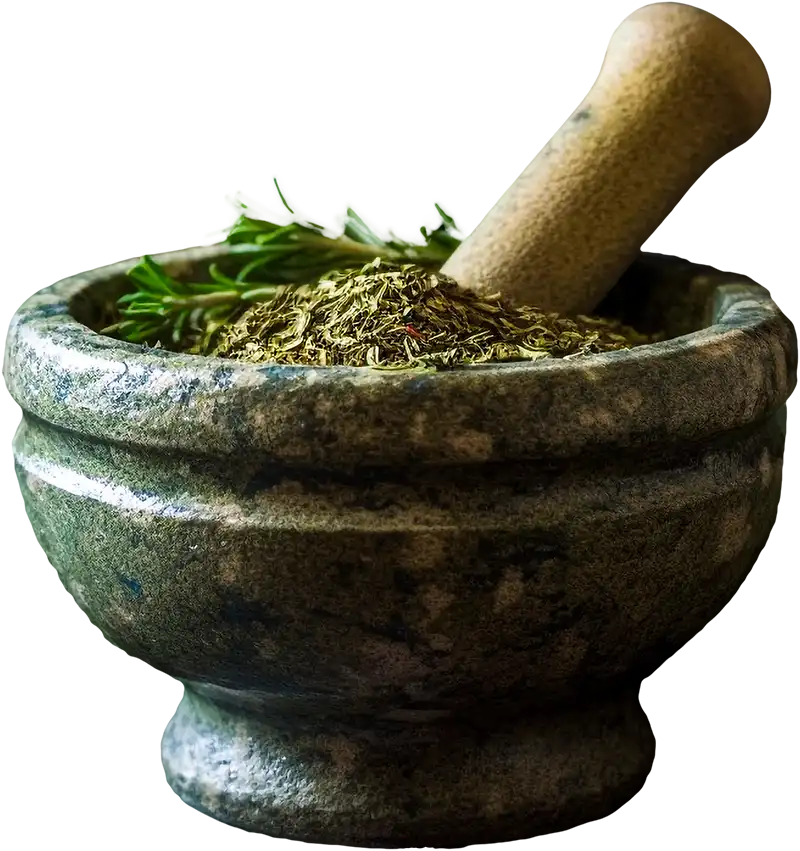 An image of herbs.